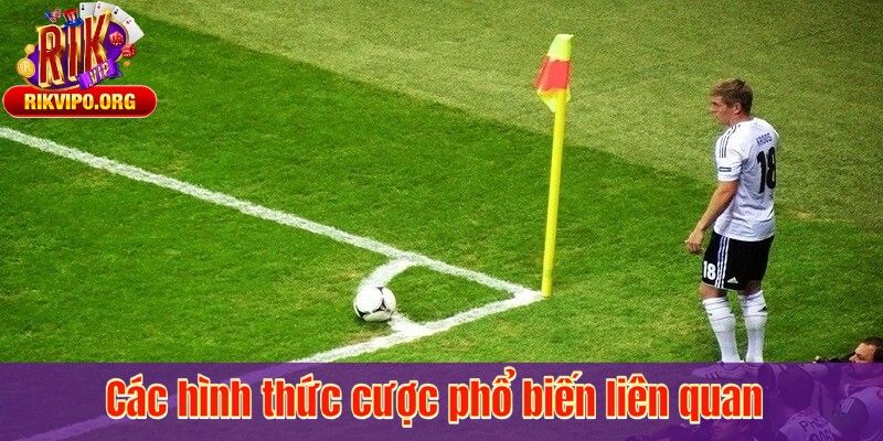 Các hình thức cược phổ biến liên quan