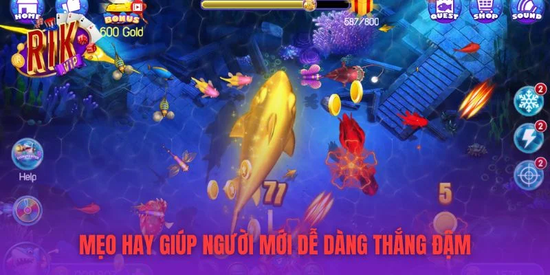 Mẹo hay giúp người mới dễ dàng thắng đậm