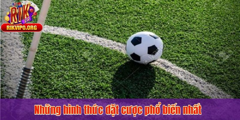 Những hình thức đặt cược phổ biến nhất