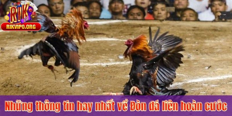Những thông tin hay nhất về Đòn đá liên hoàn cước