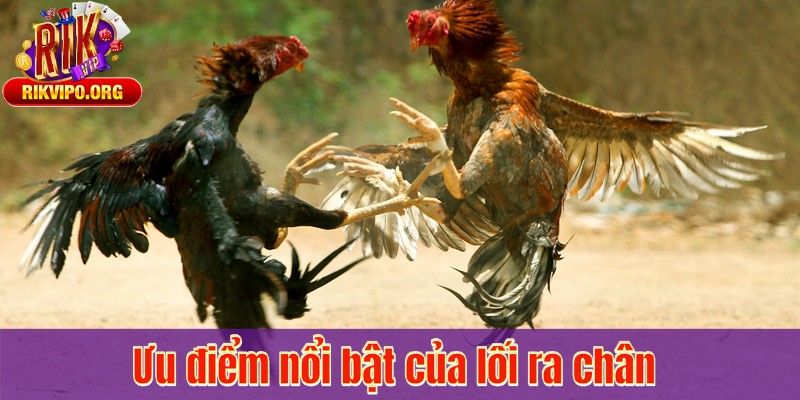 Ưu điểm nổi bật của lối ra chân