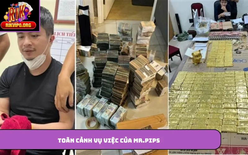 Toàn cảnh vụ việc của Mr.pips