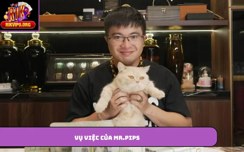 Vụ việc của Mr.pips